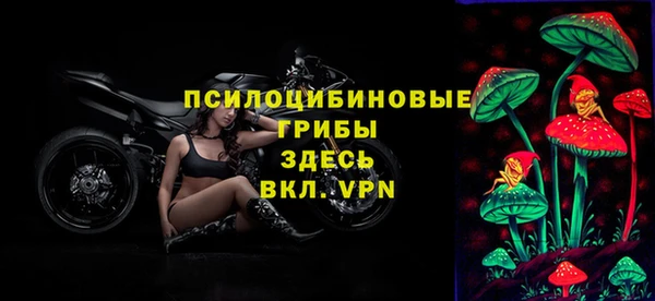 a pvp Абинск