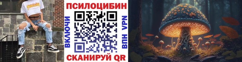 Псилоцибиновые грибы Cubensis Кедровый