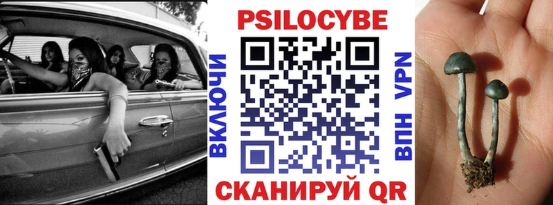 Псилоцибиновые грибы мухоморы  Кедровый 